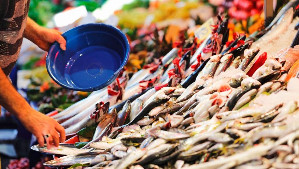 balikcilar palamut avina cikamadi UQHqHdXD