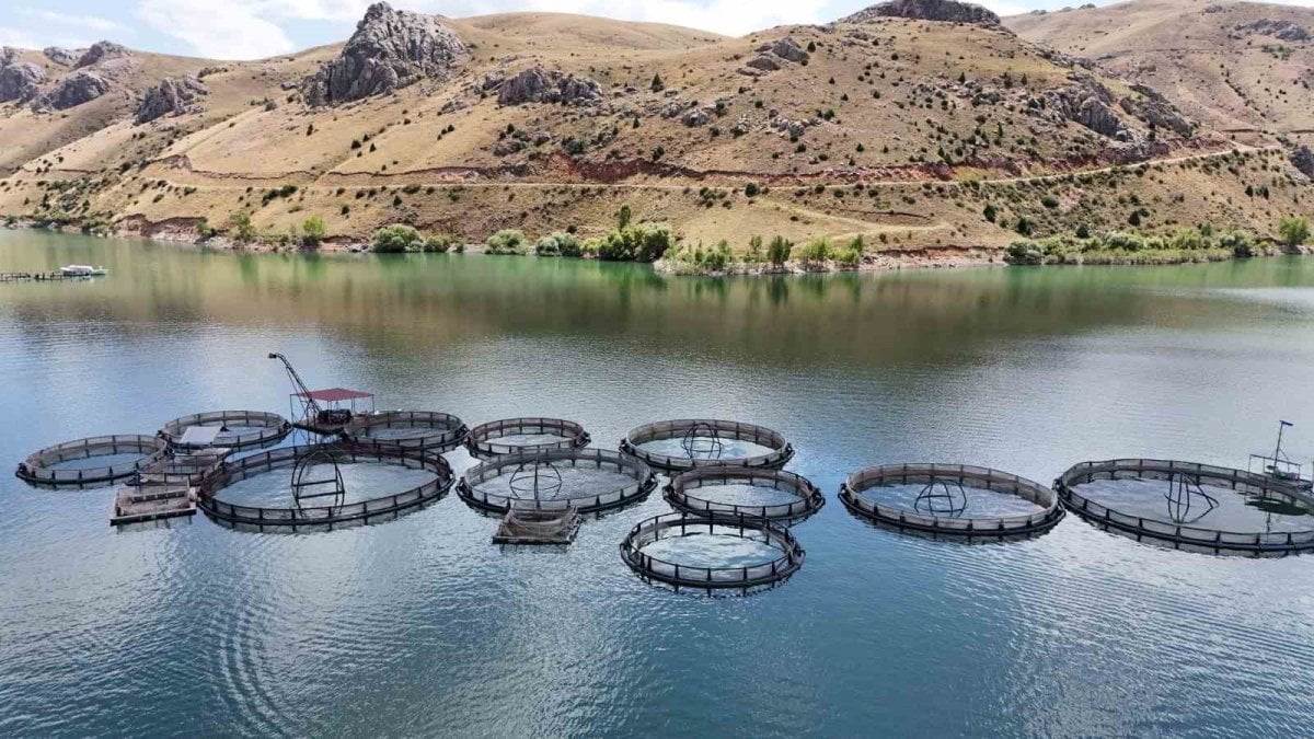 denizi yok ama balik var hedef 5 bin ton balik uretimi svqOwbmL