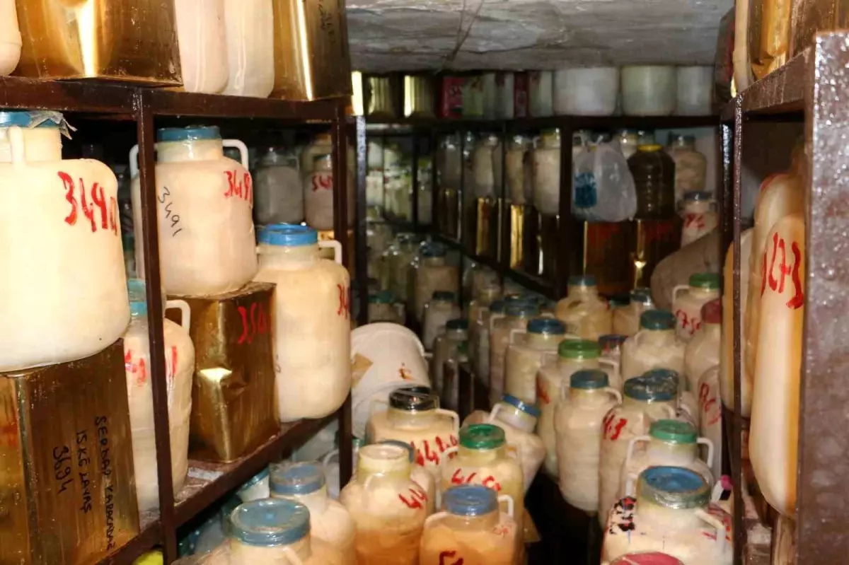 diyarbakirda kis peynir hazirligi kzkNpE1x