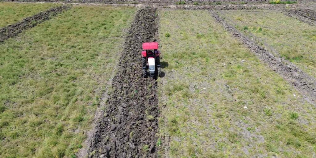 samsunda hasadi basladi kilosu 10 tlden kapis kapis satiliyor netVlFaY