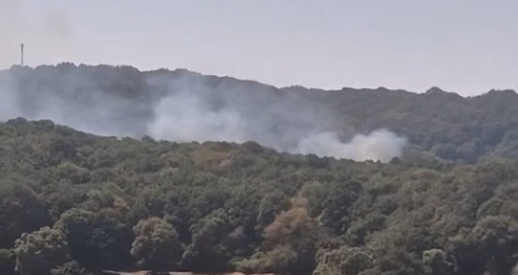 sariyerde orman yangini cikti lSG2n6bJ