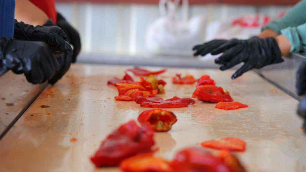 ve telas basladi tarladan pazara pazardan sofralara uzanan yolculuk VWjxj4h5