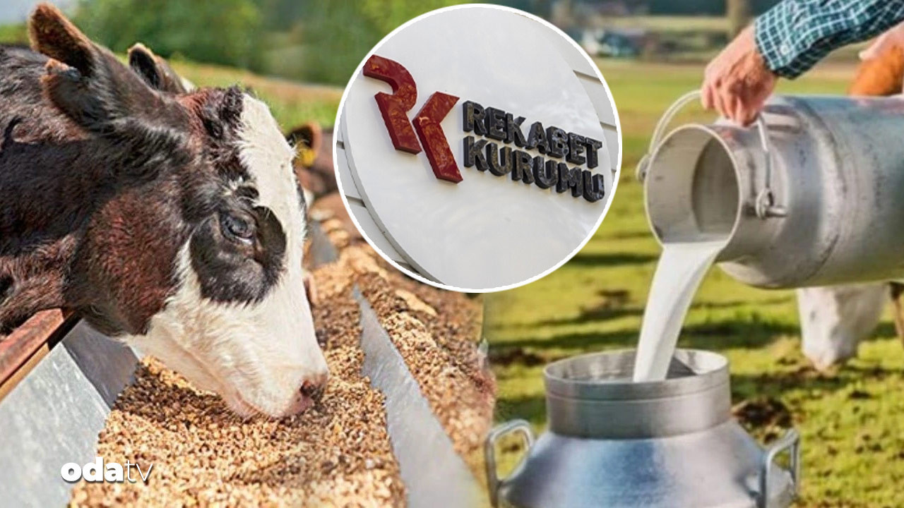 39 sut sanayicisine sut karsiligi yem sorusturmasi NliBwPNA