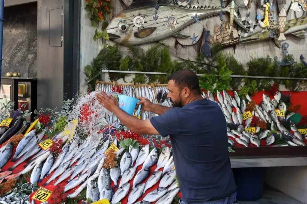 balik sezonu acildi cGpNCYkj