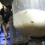 cig sut fiyatlarina zam geldi iki ay sonra yeniden artabilir gegil3kp