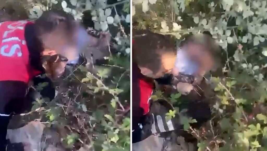 polisten kacti calilar arasinda yakalandi 7 yil hapisle araniyordu zmI57YLu