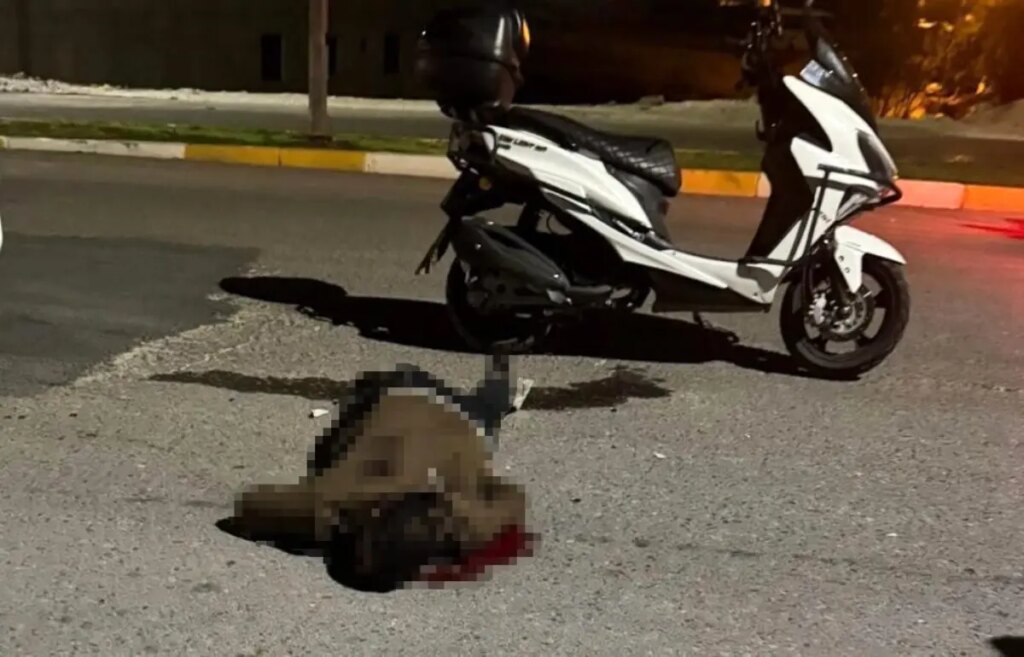 bicakli saldiri sanliurfada genc hayatini kaybetti DJ193tb2