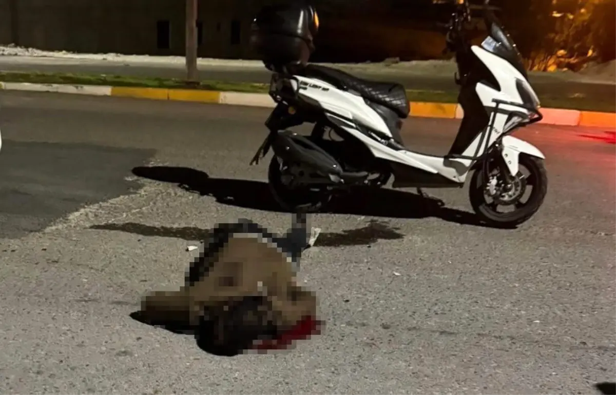 bicakli saldiri sanliurfada genc hayatini kaybetti DJ193tb2