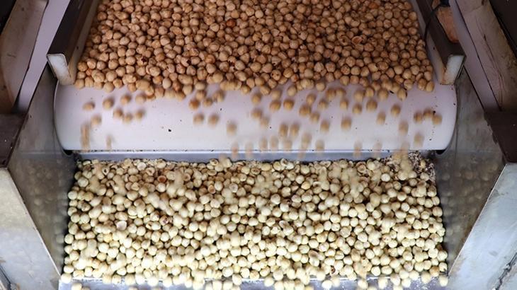 findik ihracatindan 16 milyar dolari askin gelir saglandi 9PVWy48i.jpg