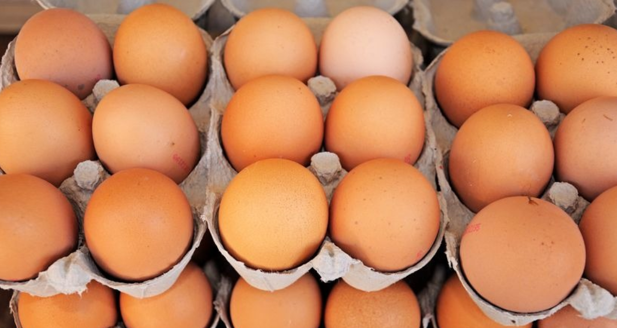 yumurta krizi kapida uretimde sert dusus layZO1R6.jpg