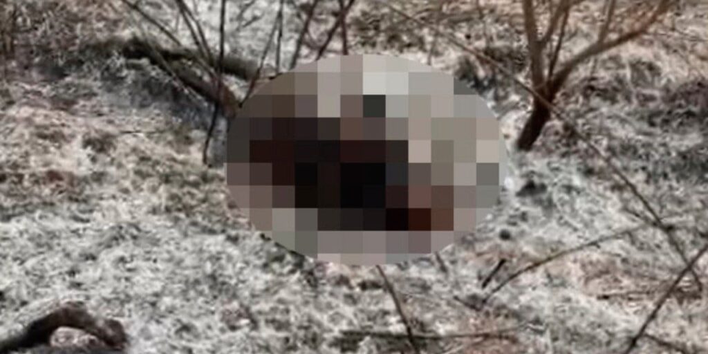 bahcesinde yaktigi atesin arasinda kalarak can verdi RWMqC7kP.jpg