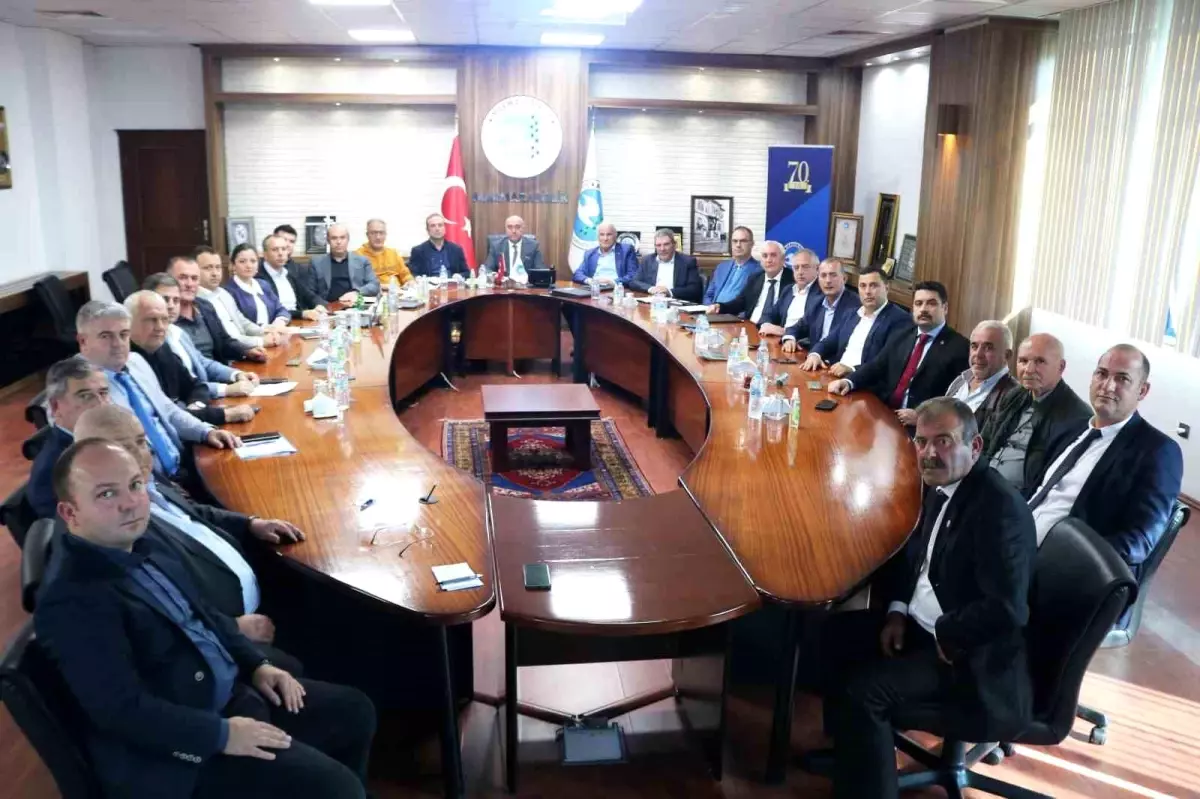 marmarabirlik 20252026 zeytin alim fiyatlarini acikladi W1EWVXH1.jpg