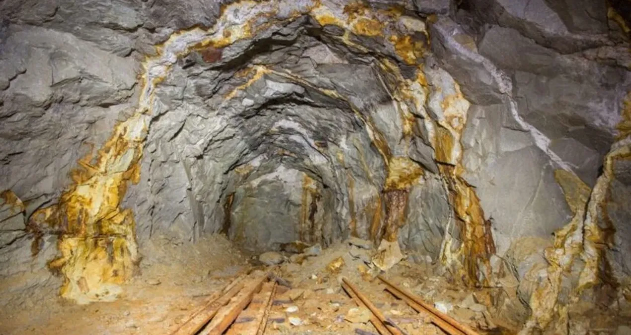 o ilimizin basina talih kusu kondu bugun milyarlarca liralik altin rezervi kesfedildi yFcgSPAp.jpg