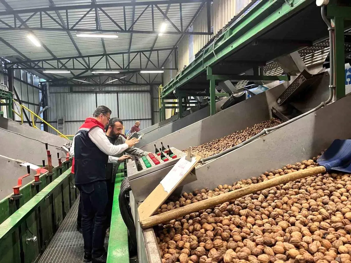 tekirdagda ceviz uretimi destekleniyor a3mbiT9s.jpg