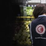 atlas-featured-12947-1775717878-vr7sqp