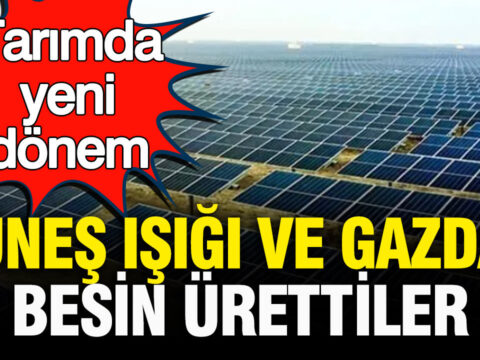 Almanyada gunes isigi ve gazdan besin urettiler tarimda yeni donem KcsQCWj7